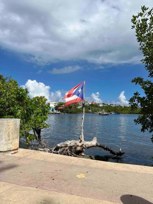 Casa Rosado Villa Marina Fajardo Yunque Seven Seas Bagian luar foto